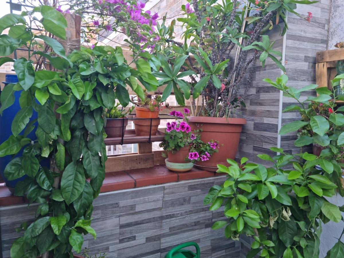 Residenza Lucana 马泰拉 外观 照片